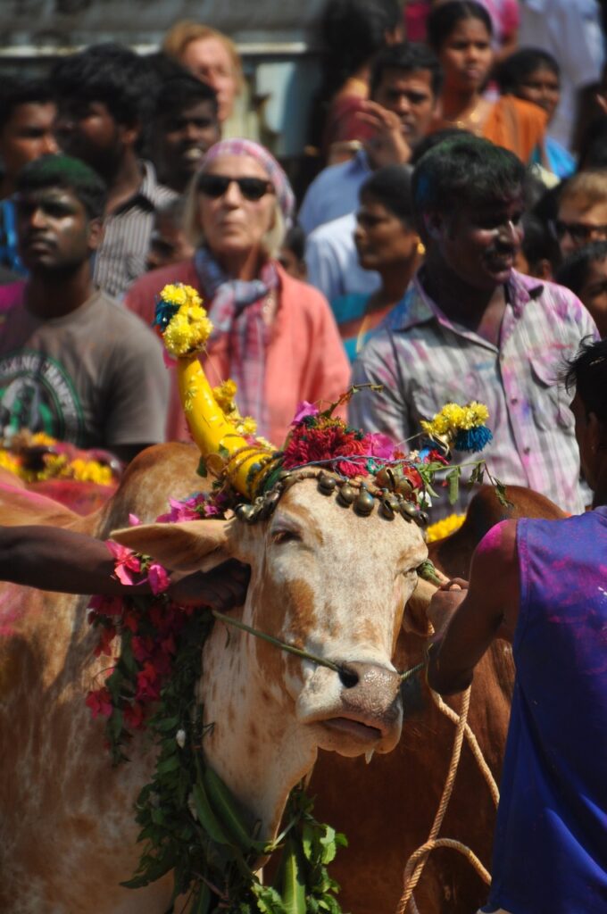 Cultural Festivals in India During Winter